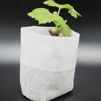 Eco-Friendly Nursery Pots