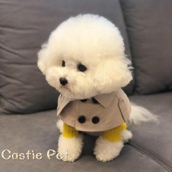 Ropa de Moda para Perros y Gatos