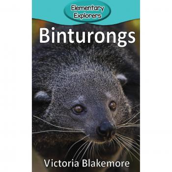Binturongs
