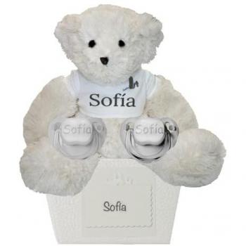 Pack de chupetes y oso de peluche en color gris