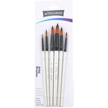 Artist Paint Brush Set