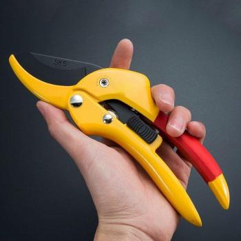 Manual Fruit Tree Pruning Shears