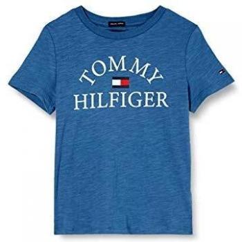 Tommy Hilfiger Iconic Logo Tee S/s, Rouge