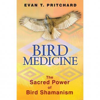 Bird Medicine by Evan T. Pritchard