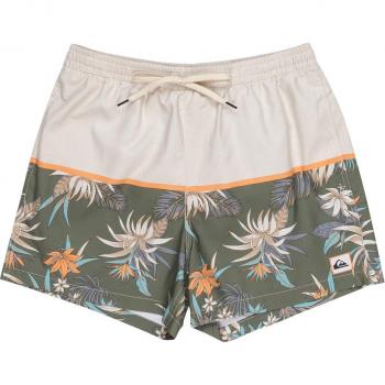 Quiksilver