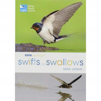 RSPB Spotlight Swifts and Swallows