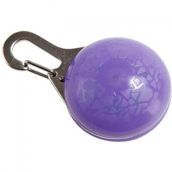 Collier éclairant pour chiots
