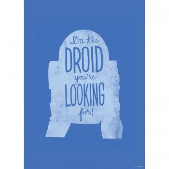Illustration R2D2 Star Wars 50×70 cm