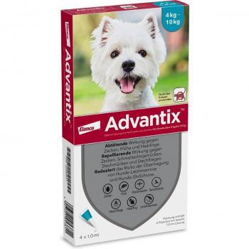 Beveiliging tegen vlooien en teken met 4 pipetten Advantix® 100/500 voor honden 4-10 kg