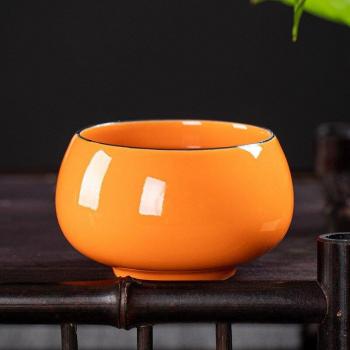 Taza de Té Kung Fu Arcoíris