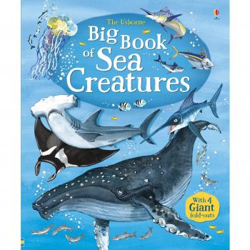 Big Book of Big Sea Creatures Hardcover Minna Lacey
