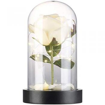 Décoration florale LED sous cloche en verre