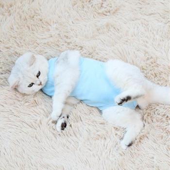 Cotton Cat Recovery Outfit