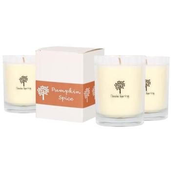 Warm Autumn Pumpkin Spice Soy Candle Collection