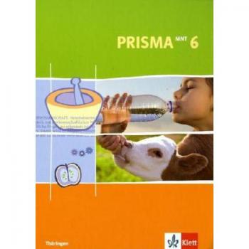 Prisma Mensch