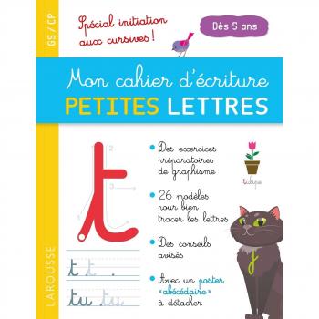 MON CAHIER PETITES LETTRES