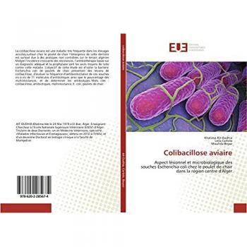 Colibacillose aviaire: Aspect lésionnel et microbiologique des souches Escherichia coli chez le poulet de chair dans la région centre d'Alger