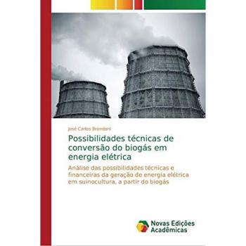 Possibilidades técnicas de conversão do biogás em energia elétrica: Análise das possibilidades técnicas e financeiras da geração de energia elétrica em suinocultura, a partir do biogás