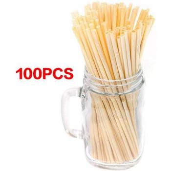Paja de Trigo Biodegradable 100x