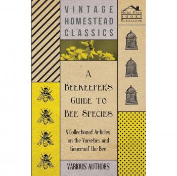 A Beekeeper's Guide to Bee Species