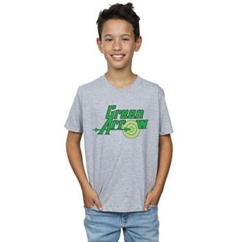 DC Comics Green Arrow Kids’ Grey T-Shirt, Size 9 Years