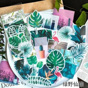 Libro Decorativo 60 Hojas de Escamas