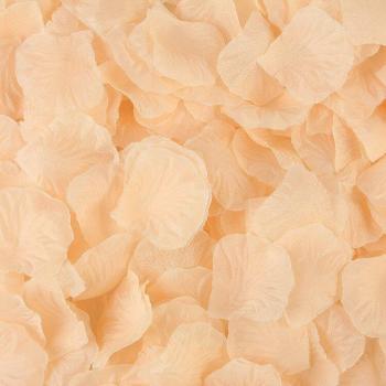 Mengsutang 5*5cm Silk Rose Petals for Romantic Wedding Decoration