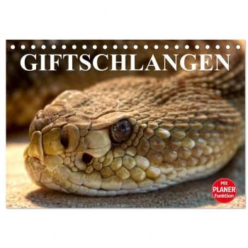 Giftschlangen (Tischkalender 2025 DIN A5 quer) CALVENDO Monatskalender
