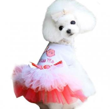Pet Princess Dress with Pink Lace Details