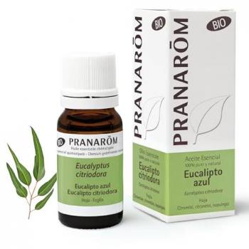 Pranarom Eucalipto Citriodora 10ml