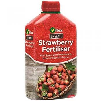 Organic Strawberry Liquid Nutrient