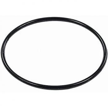 Guarnizione O-Ring per Piscina Bestway P6664