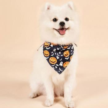 Sombrero Glamour Gatuno y Canino