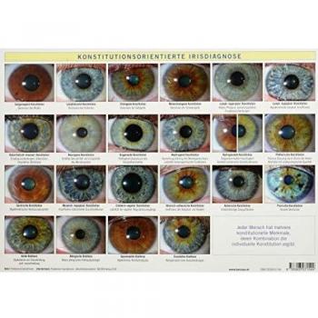 Konstitutionsorientierte Irisdiagnose Tafel