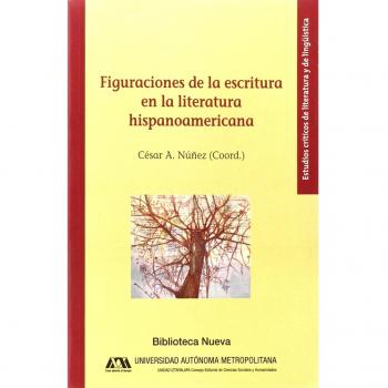 Figuraciones de la escritura en la literatura hispanoamericana (Tapa blanda).