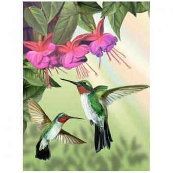 Bricolage 5D : Peinture Diamant Colibri