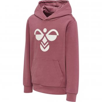 Abbigliamento da Gioco Hummel Cuatro con Cappuccio