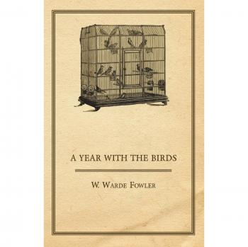 A Year with the Birds
