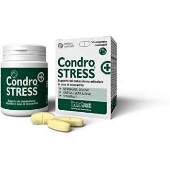CONDROSTRESS + 30CPR MASTIC