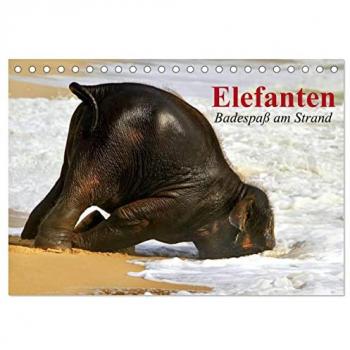 Elefanten Badespaß am Strand Tischkalender 2025 DIN A5 quer CALVENDO