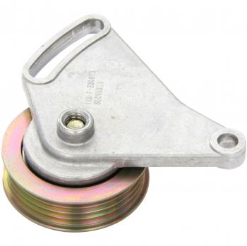 INA Rullo Tendicinghia VW,AUDI,SKODA 531 03