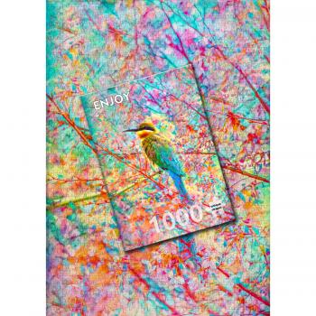 Enthousiaste Vogel Legerdier Puzzel van Enjoy, 1000 Stukken
