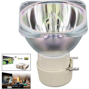 EC.K3000.001 Compatible Projector Bulb for ACER X1110 Series