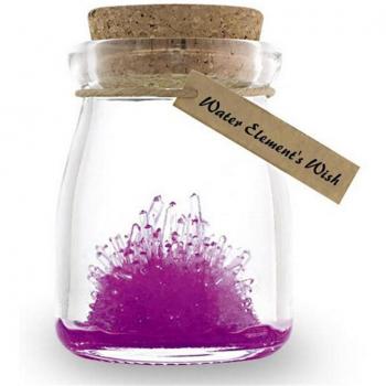 Crystal Growing Wish Kit