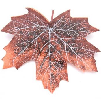 Kit Décoration Terrarium Jungle Feuilles – 12 pièces