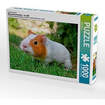 CALVENDO Puzzle Meerschweinchen