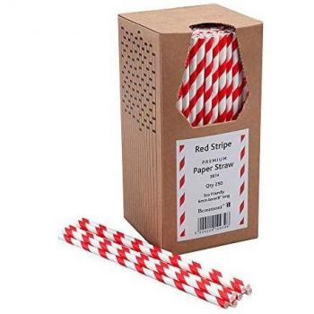 Red & White Striped Paper Straws 8 (250 Count)
