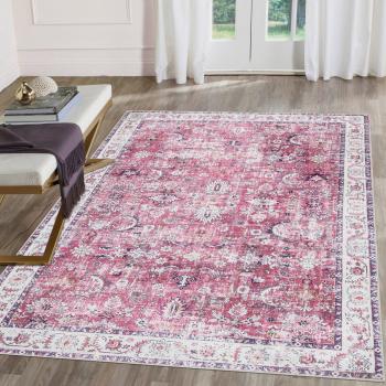 Latitude Vive Silk Road Pink Power Loom Machine Washable Rug
