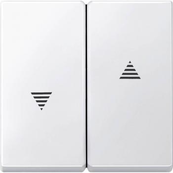 Merten Placca di copertura per Commutatore System M 435519