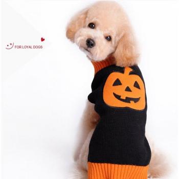 Cozy Pumpkin Knit Pet Apparel